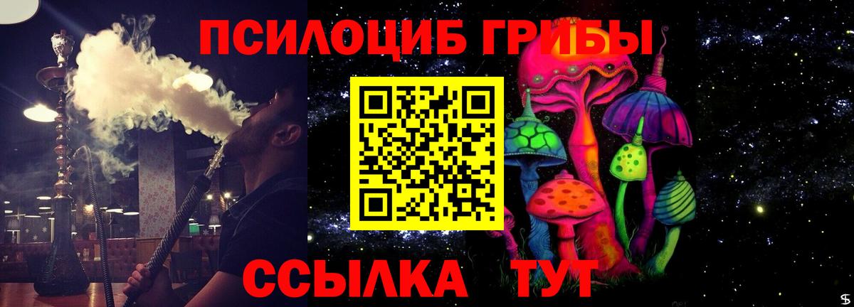 Луховицы  Псилоцибиновые грибы мицелий  Вход с VPN 